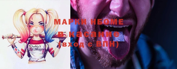 прущий лед Верея