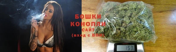 прущие грибы Верхнеуральск