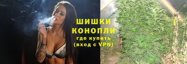 прущие грибы Верхнеуральск